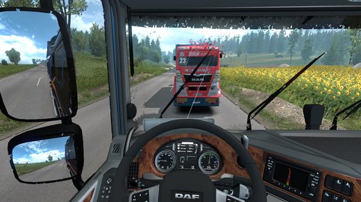 Image by estradivarius