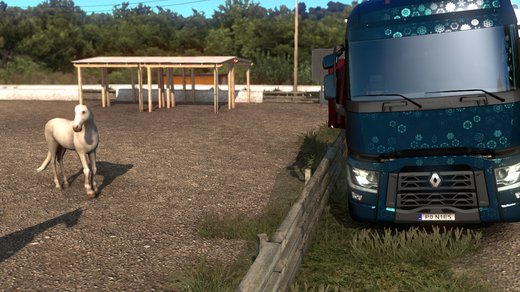 Renault T