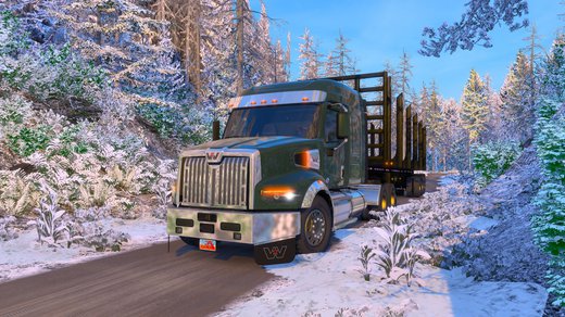 Western Star 49X