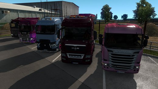 MAN TGX Euro 5