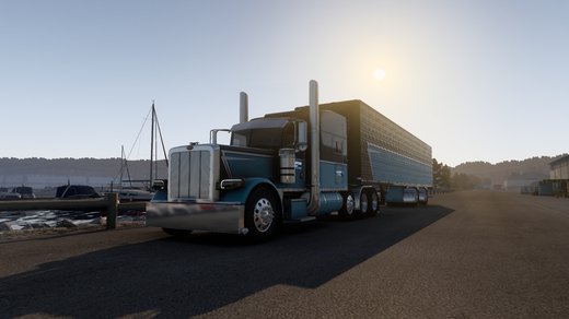 Pete 389/379