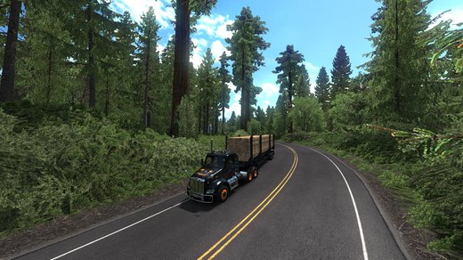 Peterbilt 579