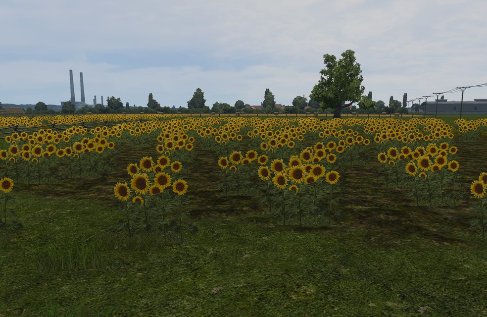 Image by supermurs