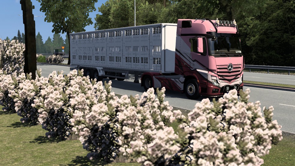 Image by thomasthamrt