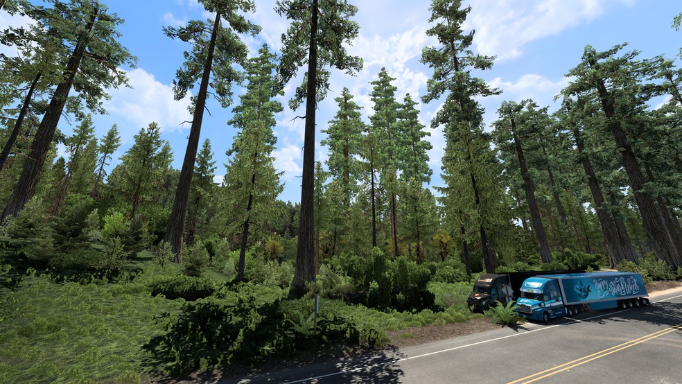 Image by ExaminerIan