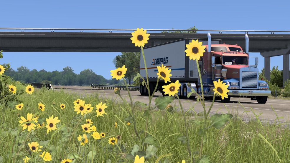 Image by murattaskiran61