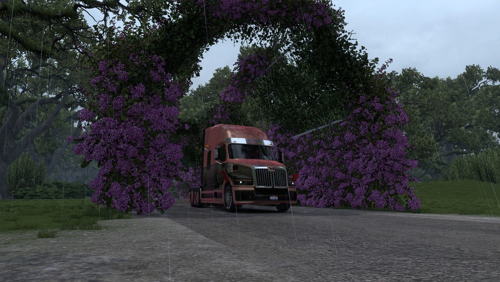 Image by Germinecraft