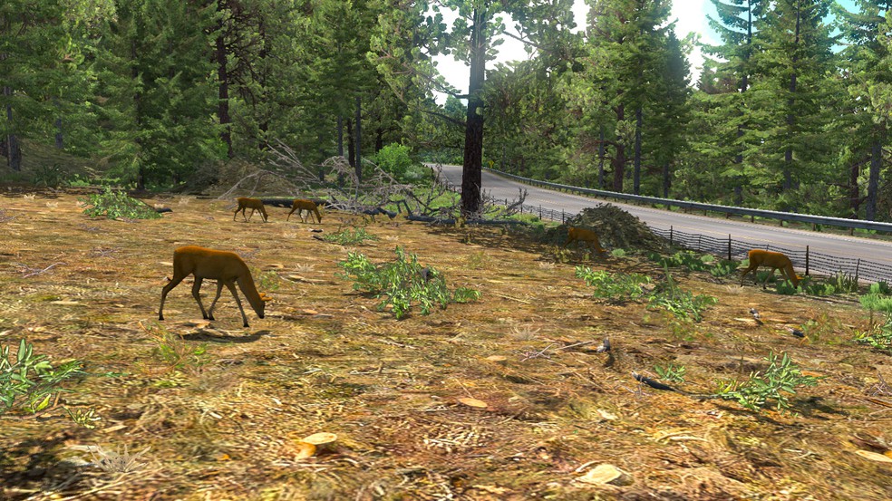 Image by Grzegorz_5703