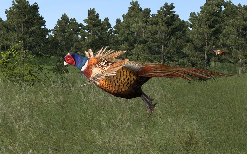 Image by thomasthamrt