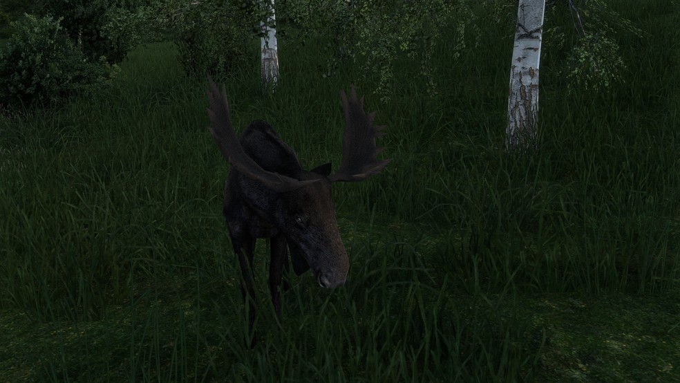 Image by Julius_der_111