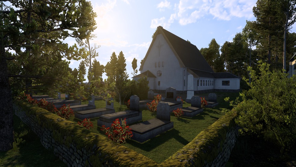 Image by BrasilSurvival