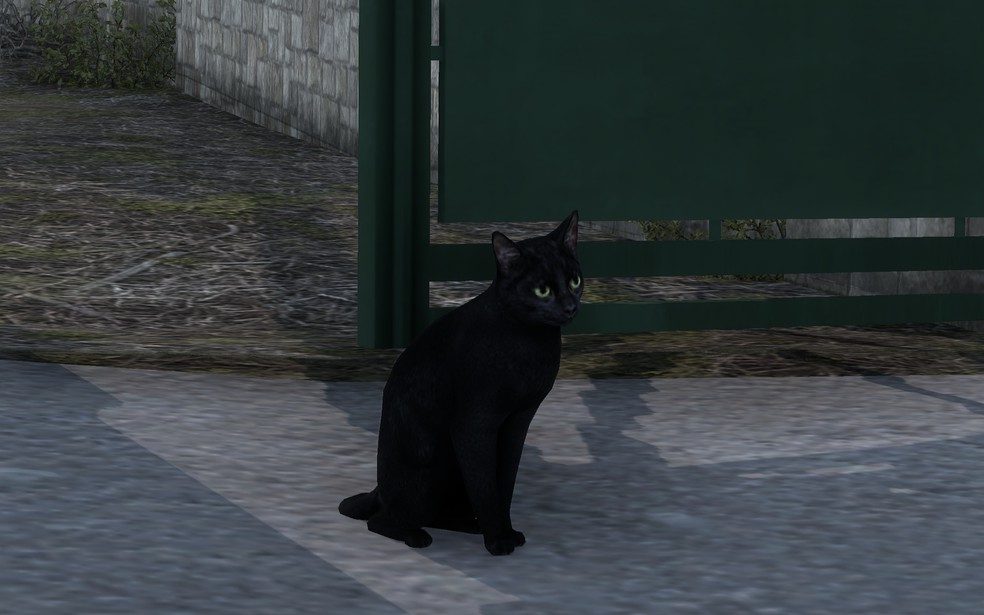 Image by The_Emperors_Cat