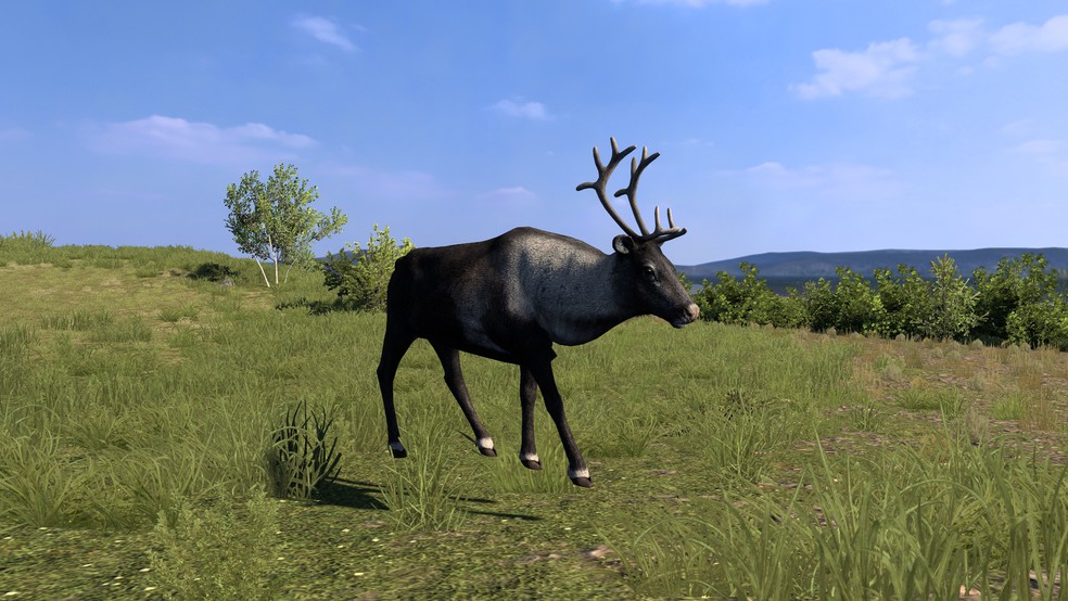 Image by Insomnivore