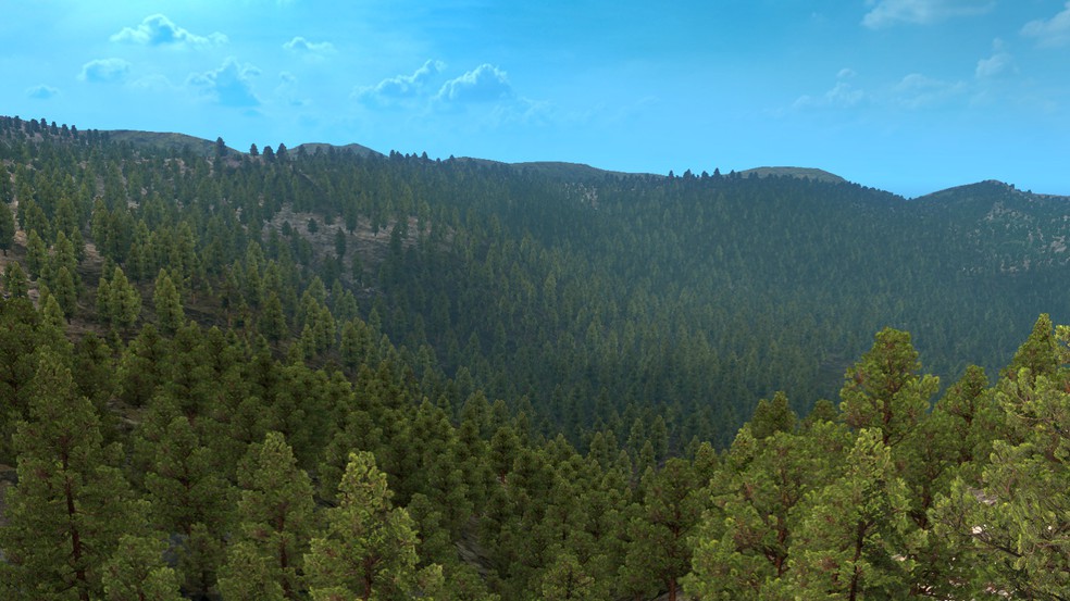 Image by Grzegorz_5703