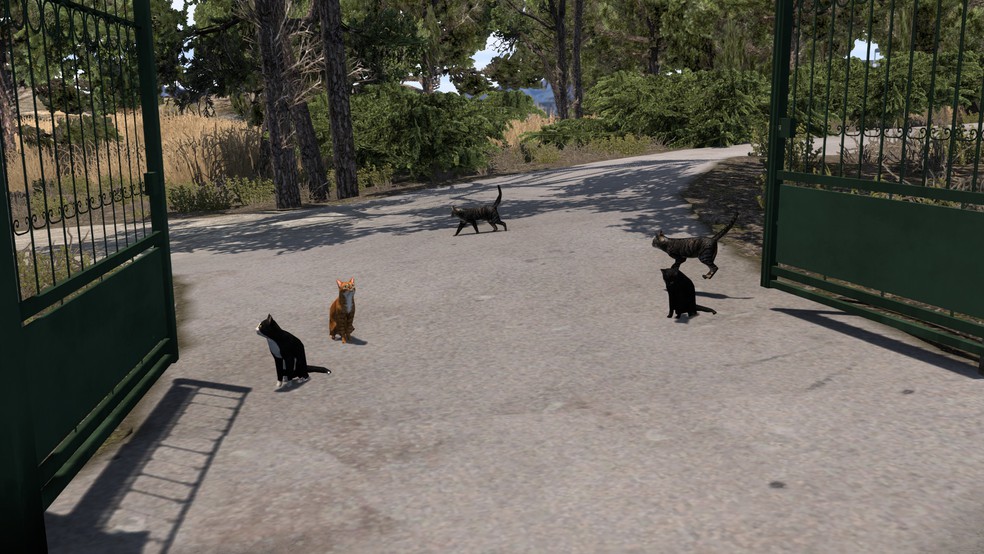 Image by Pychex_Benio