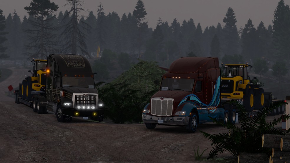 Image by ExaminerIan