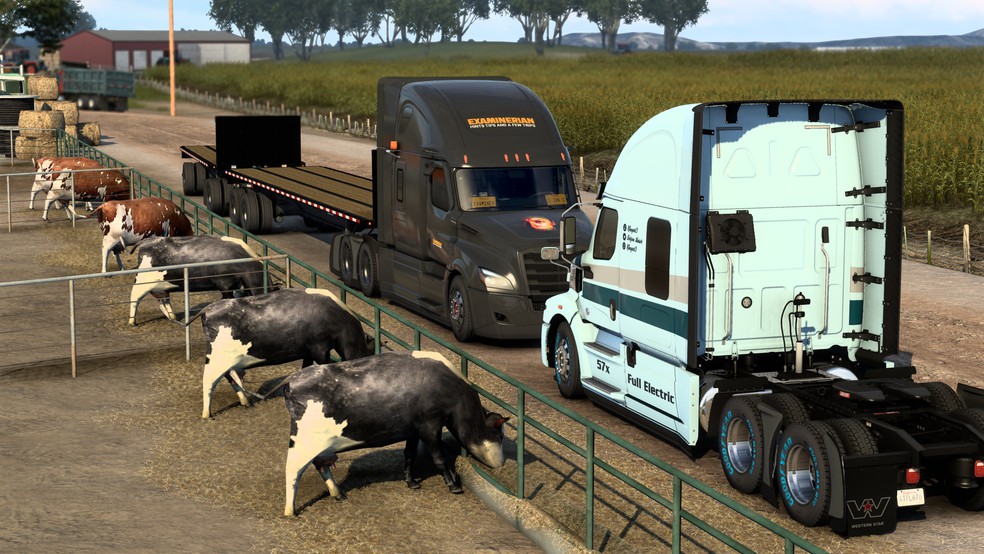 Image by ExaminerIan