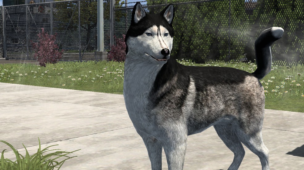 Image by Zigzags1989