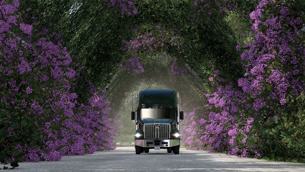 Image by Immoral_kralik