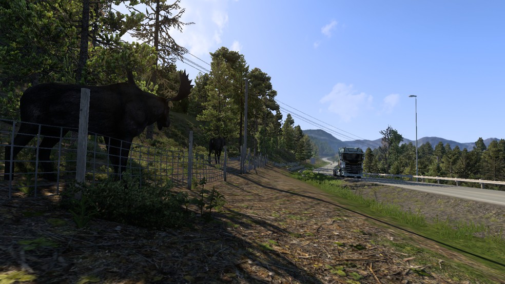 Image by pacemparabellum