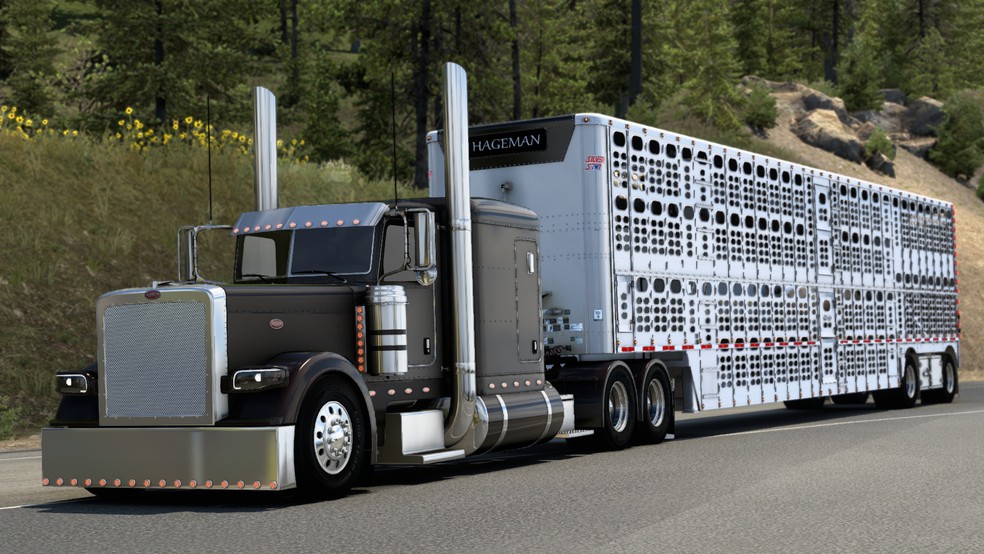 Image by AustinHageman