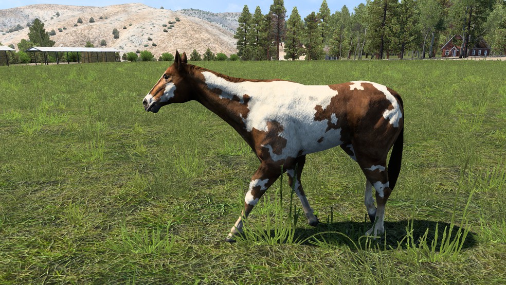 Image by ChiefBig420