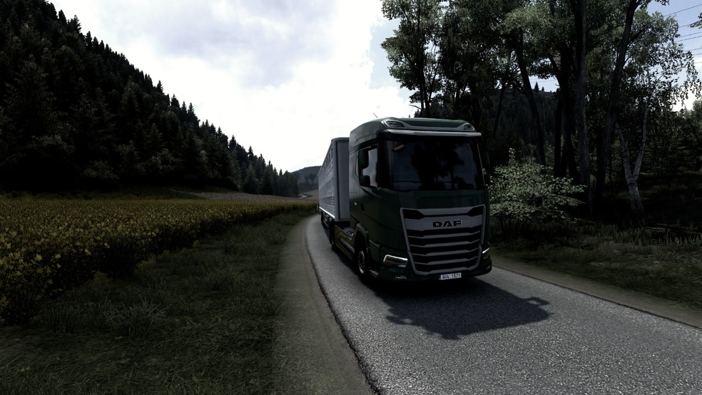 Image by RicardoBonato98