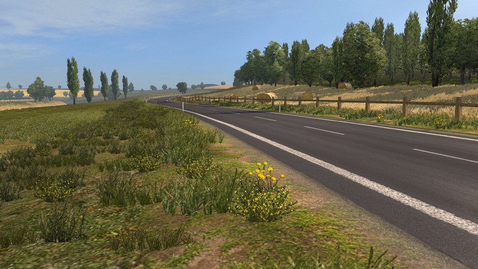 Image by borisovich24