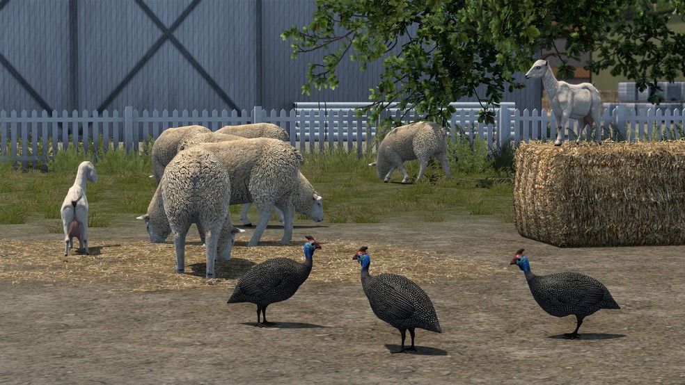 Image by ExaminerIan