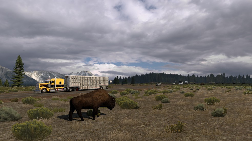 Image by fatonetti81