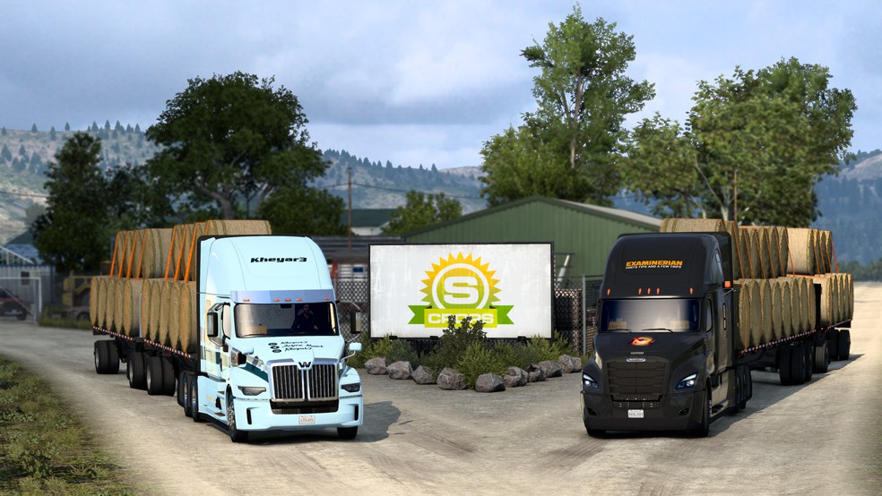 Image by ExaminerIan