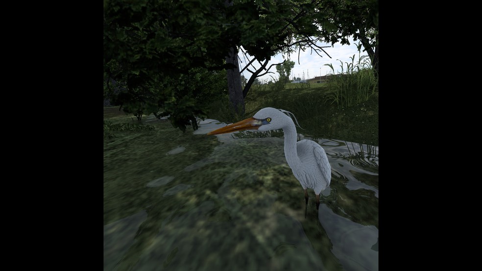 Image by HolmeStretchin