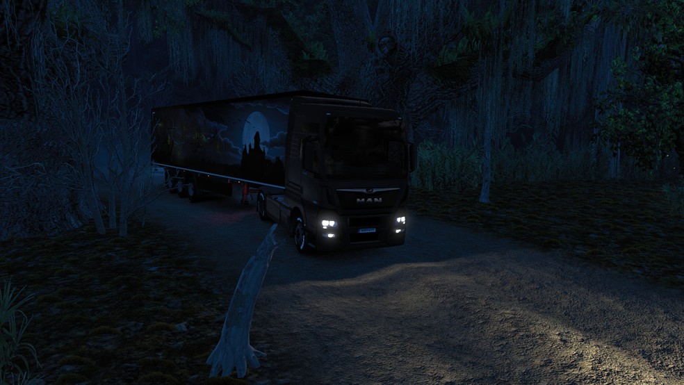 Image by roppa2233