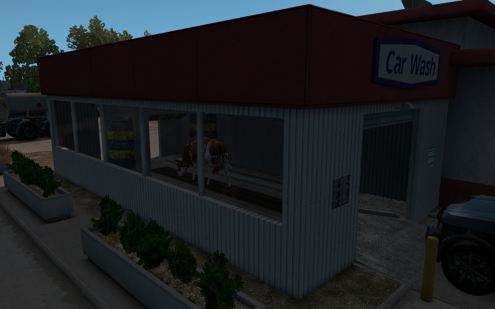 Image by KurtSerpico