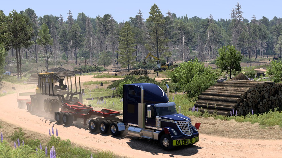 Image by Steve951023