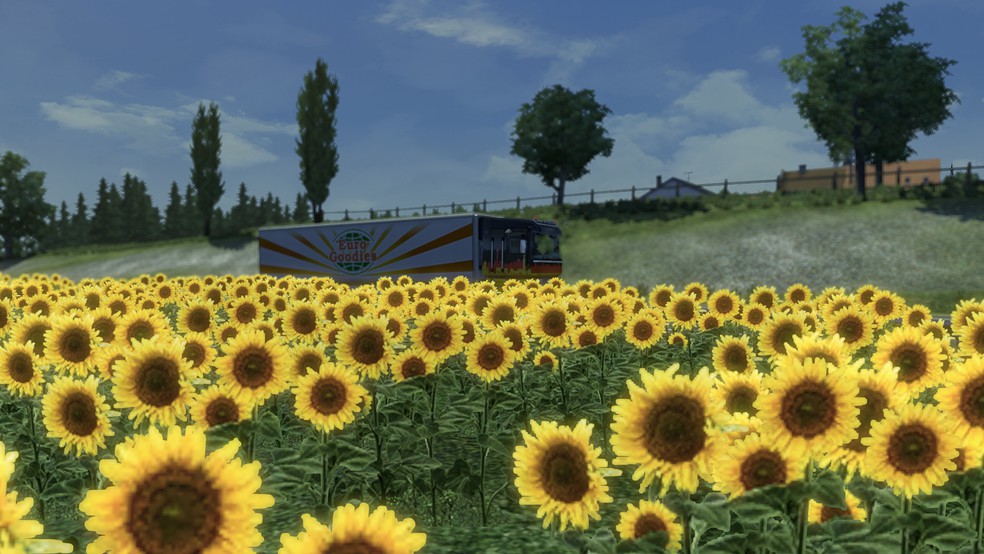 Image by DiVladtruck