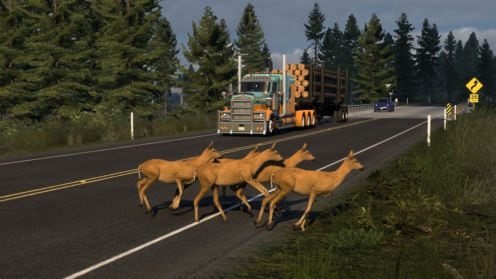 Image by ercangundogdu1