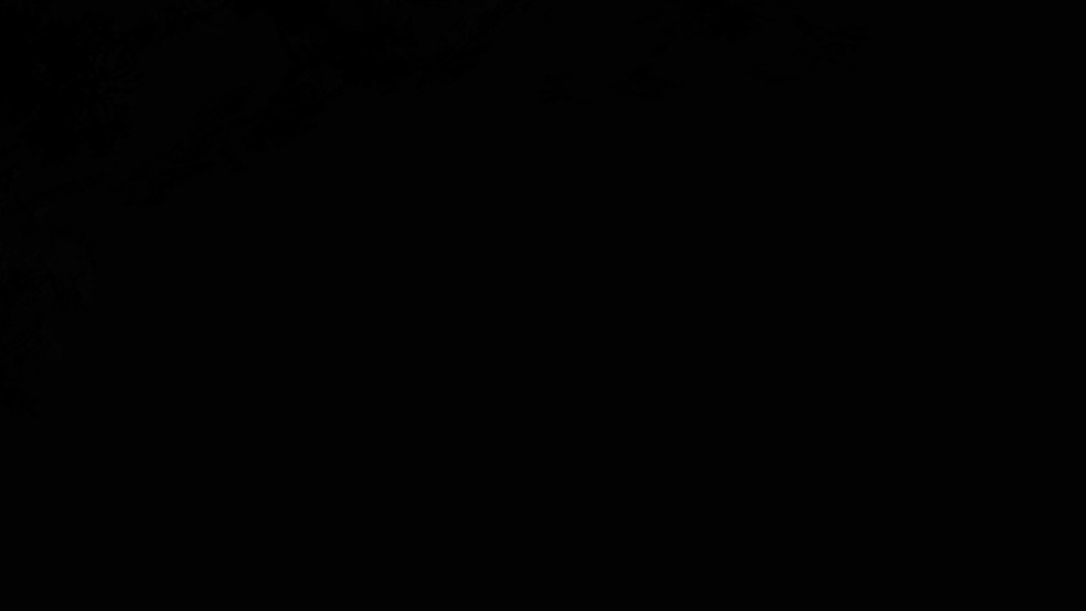 Image by zakyharris456