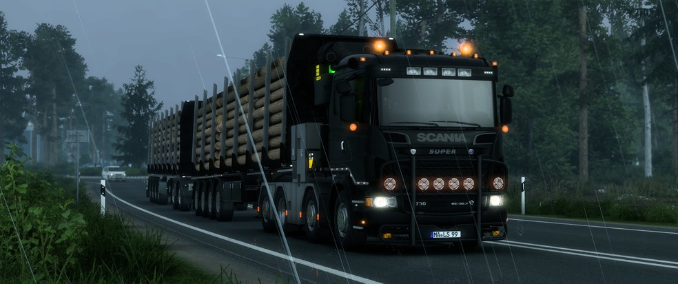 Image by schillischote