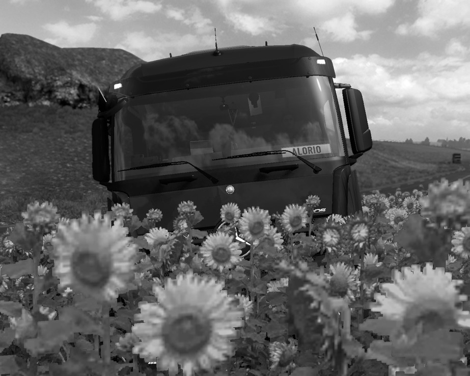 Image by AlexandrShabanov