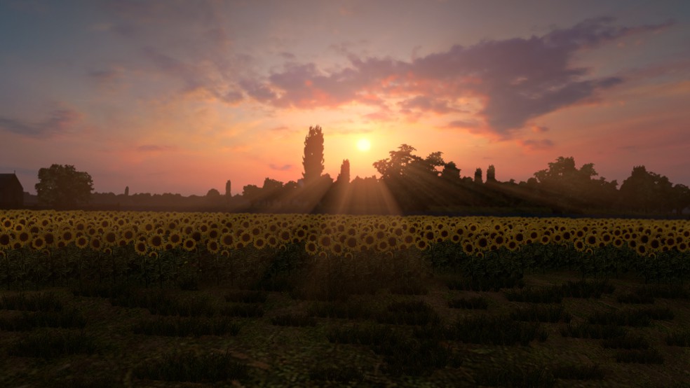 Image by XYG_096A
