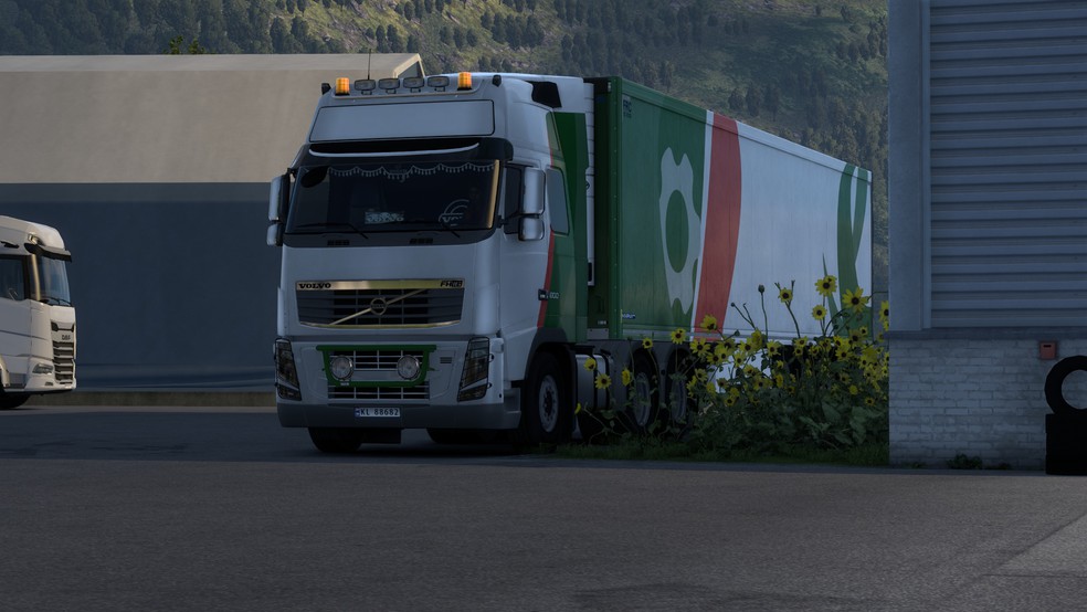 Image by Swisstrucker