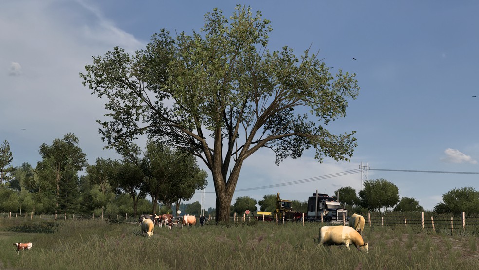 Image by British_Trucker