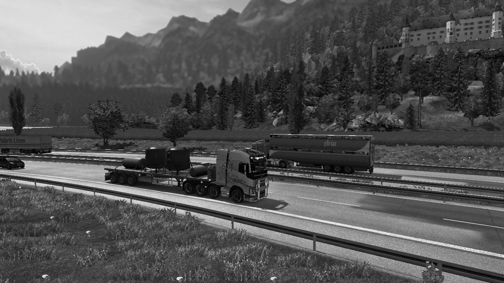 Image by Rico_F_Oliveira