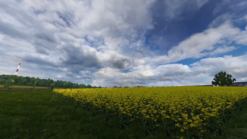 Image by Bing123