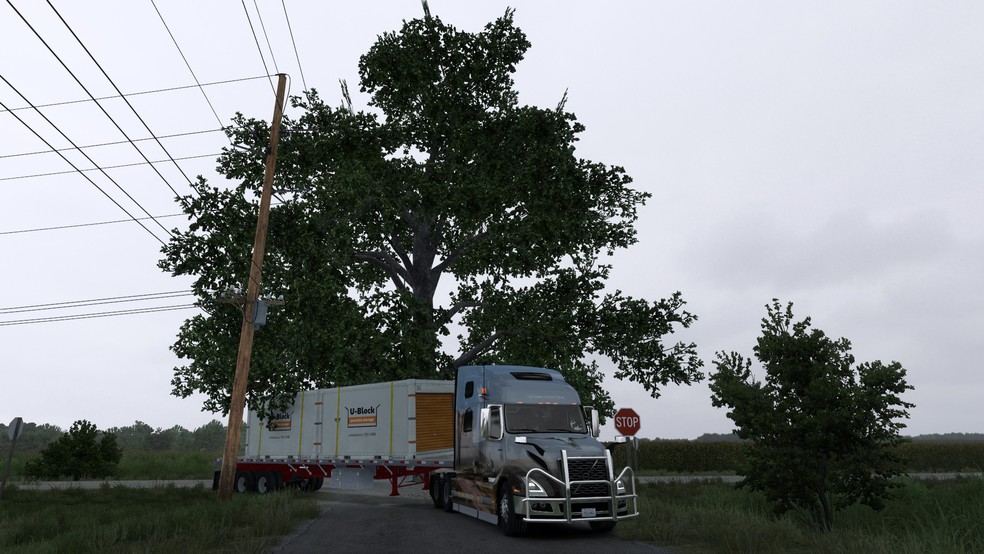 Image by jedrek121