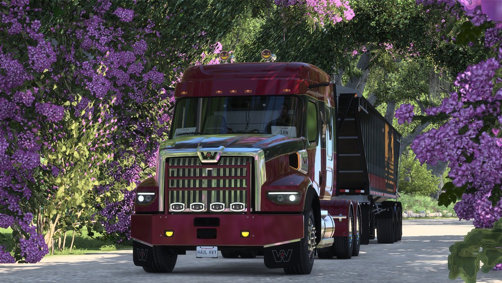 Image by ExaminerIan