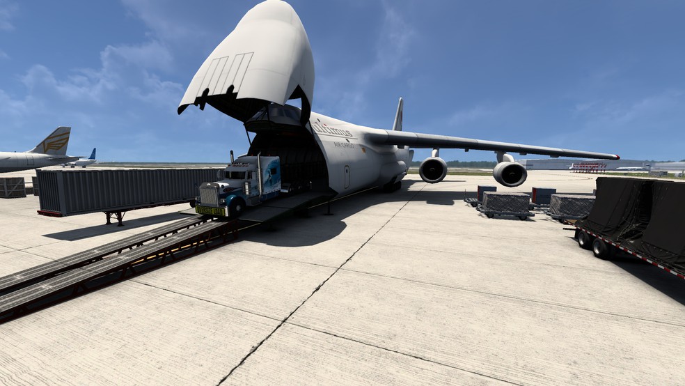 Image by POMPOMRESCUE