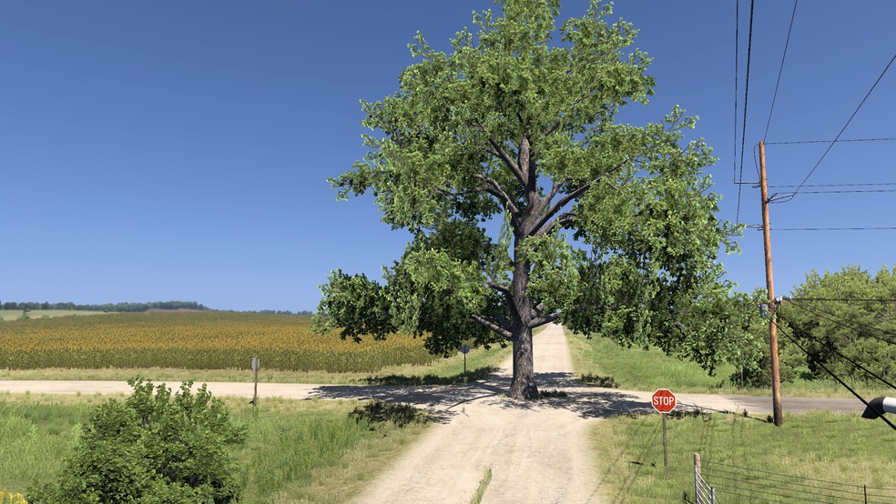 Image by Cane4ek032rus