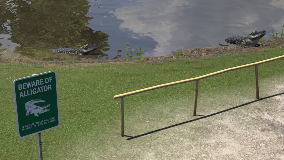 Image by ExaminerIan